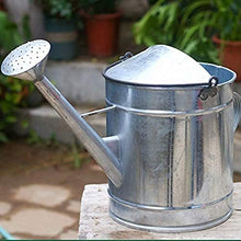 20L Metal Watering Can,Galvanized Iron Sheet Watering Can, Large Capacity Watering Irrigation Garden Plant Flower Watering Bucket,Gardening Watering Tool Suitable for Indoor and Outdoor,Collector8