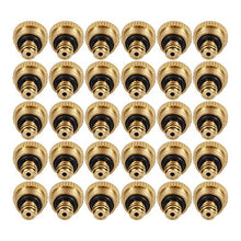 Brass Misting Nozzles 0.016" Orifice (0.4mm) 10/24 UNC, Water Mister Parts Fog Nozzles for Patio Misting System Outdoor Cooling System (30)