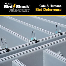 Bird Shock Flex-Track Complete Starter Kit | Low-Profile Bird Deterrent System | Humane Avian Control Track | Pigeon Spike Alternative | Long-Term Exclusion | Solar Black
