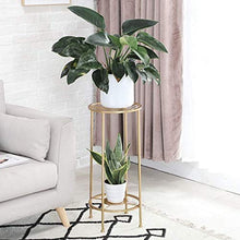 RWGOVLU Plant Stand Iron Art Outdoor Garden Floor-Standing Plant Stand Flower Stand Flower Pot Stand Flower Stand With 2 tiers Indoor Balcony Flower Stand