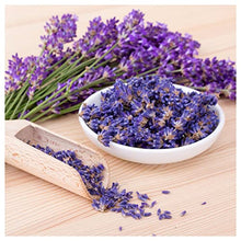 Everwilde Farms Organic Vera Lavender Herb Seeds Gold Vault Packet 1 Lb