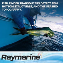 Raymarine FLIR RAYMARINE T70321 M RV-320 3D Plastic 20 Black
