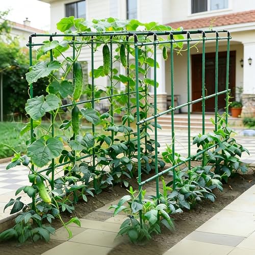 16mm Heavy Duty Garden Trellis for Climbing Plants, Plant Support Structures, Raised for Tomato, Cucumber, Squash, Melon, Beans