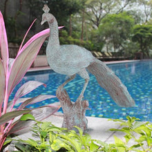 Design Toscano Pleasant Peacock Cast Bronze Garden Statue Verdigris