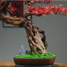 YXIANG56Q Fake Plants Simulation Red Maple Bonsai Ornaments Indoor Entrance Hotel Wood Green Plants Potted Decorations Bonsai Tree