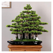 Creative Simulation Welcome Pine Bonsai Chinese Living Room Potted Large Green Plants Indoor TV Cabinet Landscape Decoration Gifts House Plant (Color : A)