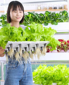 BTURYT Intelligent Hydroponic Culture with Growth LED Light, Hydroponic Tower of 48/64/90/120 Holes, Self -Winding Culture Kit, Herbal Garden Germination Kit
