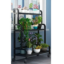 MIIKHI Metal Flower Display Stand Frame Plant Ladder Shelf Multi-Plant Stand with Wheels Plant Pot Racks Flower Pots Holder