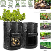 Plant Grow Bags Home Garden Potato Pot Greenhouse Vegetable Growing Bags Moisturizing Jardin Vertical Garden Bag Seedling (Size : 7 US Gallon 30x35CM) (7 UK Gallon 34x35CM)