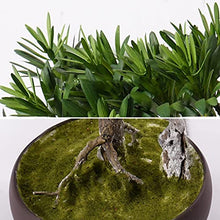 LSHAOBO Simulation Bonsai Tree Simulation Branches Realistic Green Leaves Creative Art Living Room Study Potted Ornaments