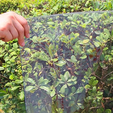 Polycarbonate Sheets All-Weather Outdoor Greenhouse Covering, Plastic Roofing Sheets Rainproof Insulation Protection(1.56x1125m)