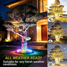 Tree Lights Outdoor Interlocking Waterproof Tree Ring Lights, Suitable for Commercial Palm Tree Landscape Lighting