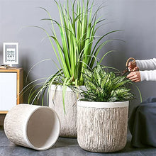 Planters Retro Wood Cement Flowerpot Large Simple Living Room Floor-Standing Potted Flowerpot for Planting Large Plants and Trees Nursery Pots (Size : Large)