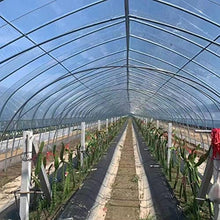 WIGING Greenhouse Plastic Film, UV Resistant Greenhouse Plastic Sheeting, Clear Polyethylene Covering for Horticulture, Gardening, Farming and Agriculture((WxL) 6x20m)