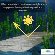 Lake Bottom Blanket Aquatic Weed Control | Chemical-Free Vegetation Inhibitor for Lakes & Ponds | Benthic Barrier | Instant Weed Free Swimming (10.75 feet x 50 feet)