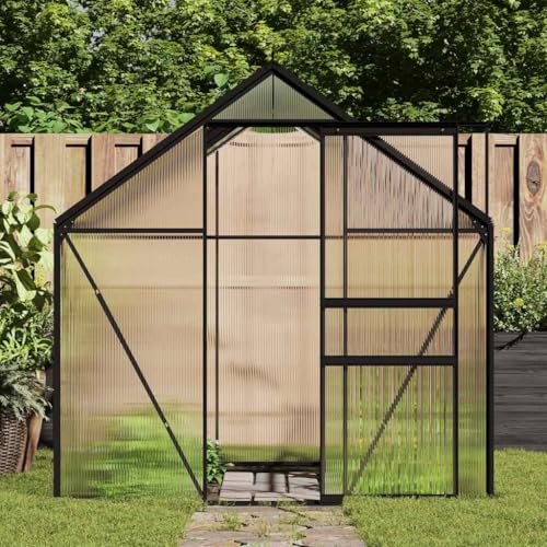 DINDING Greenhouse Anthracite Aluminum Polycarbonate in Professional Modern Crystal Clear Walk in Structure with Adjustable Height for Professional Garden Projects