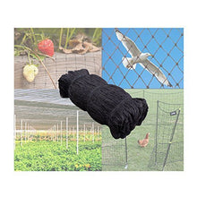 XXX-Large Strong All Season 150' x 150' Net Netting for Bird Poultry Aviary Game Pens New 2" Square Mesh Size (150ft x 150ft)