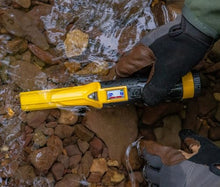 Nokta Score Metal Detector for Adults - Fully Waterproof, Rechargeable, Multi-Frequency, Easy-to-Use Detectors for Treasure Hunting (Score with Accupoint)