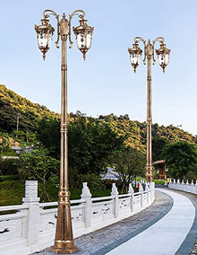 ZQHQYNQDFY Lamp Post Lights Outdoor, Outdoor Waterproof Double-Headed High Pole Lamp for Garden, Villa, Lawn, Street, Courtyard, and Park Lighting