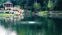 EasyPro PA34 Rocking Piston Lake Aeration System-Up To 1 Acre 50' Deep