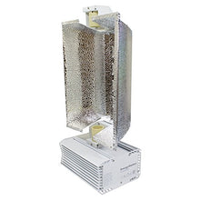 Plantmax EnergyStation 630 Watt CMH Grow Light System for Indoor Growing with 2 CMH 315W Bulbs