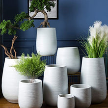 Outdoor Indoor Garden Plant Pots Ceramic Flower Pot Plant Container, White Line Decorative Flower Pot With Drainage Hole, Round Modern Flower Pot Succulent Plant Pot For Plants, Flowers Planting Pot(C