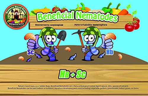 Bug Sales Live Beneficial Nematodes HB+SC (500 Million_Nematodes_HB+SC)
