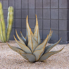 Desert Steel Sharkskin Agave - Large (28" W x 25" H) - Indoor/Outdoor Metal Yard Art & Yard Decor, All Weather