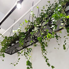 SDVantage Ceiling Hanging Planter Flower Pot Display Rack Hanging Plant Holder, Indoor Plant Pots, Wall/Window Plant Hanger Indoor Herb Garden, 60 80 100 120 140Cm,120X25X15Cm