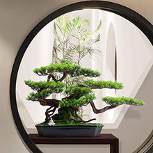 Simulation Welcome Songke Bonsai Office Decoration New Green Plants Living Room Entrance Decoration Podocarpus Hotel Gifts and Crafts House Plant (Color : B)