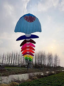 TiffyDance 10m 3D Soft Inflatable Fish Bone Kite Windsock