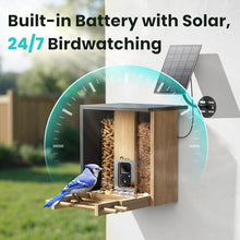 Birdfy Smart Bird Feeder with Camera, Solar Powered, 2K Live Stream, Bamboo Bird Feeder with Metal Guard, AI Bird Identification, Auto-Recorded Videos, Gift for Bird Lovers