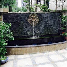 Wall Mounted Lion Head Nozzle Fountain, Indoor/Outdoor 3D Faux Taxidermy Water Feature Wall Art Fountains, for Patio Backyard Pond Decor.