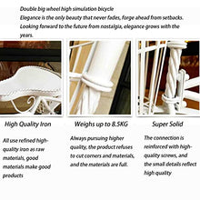OJKJGYTF Tricycle Plant Stand Flower Pot Cart Holder Ideal for Home, Garden, Patio Great Gift for Plant Lovers, Housewarming, Mother's Day