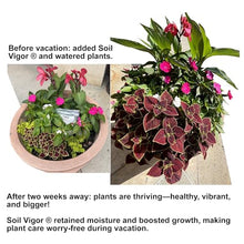 Soil Vigor® Potassium Polyacrylate – Premium Commercial-Grade Superabsorbent Polymer (SAP) - Water Storing Crystals for Plants, Lawns, and Gardens (5-10 Mesh) (20 lbs)