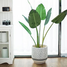 iumLeap Outdoor Indoor Garden Plant Pots European-Style Living Room Ceramic Flowerpot Home Simple White Special Large-Caliber Vase Plant Container Accessories