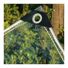 QWEASDF Clear Tarps, Heavy Duty Rainproof Cover, Waterproof Clear Tarpaulin, Tear Resistance, Anti-Aging, Dustproof, for Patio Garden Balcony Plant Cover Greenhouse, 0.35mm,2x8m/6.5x26.2ft