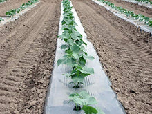BERRY 5ft x 2400ft x 1.25mil Black Embossed Plastic Mulch