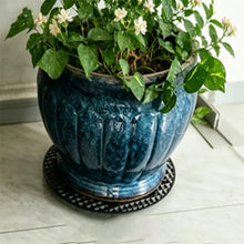 HJLJHS Potted Plant Stand Holder, Window Shelves,Plastic Plant Saucer Stand