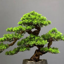YXIANG56Q Fake Plants Bonsai Fake Tree Greenery Landscaping Living Room Home Entrance Decorative Ornaments Desktop Bonsai Decoration Bonsai Tree