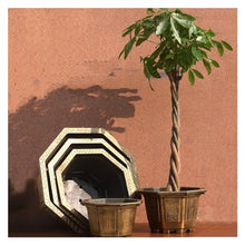 thalo Planter Pots Large Thickened Resin Flower Pot Octagonal Green Plant Garden Flower Pot Balcony Orchid Succulent Pot Plant Container Accessories (Size : Medium)