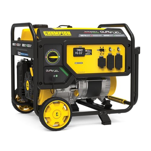 Champion 6875-Watt Dual Fuel Portable Generator