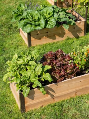 Gardener's Supply Company Raised Garden Bed | Outdoor Cedar Planter Box w/Extra Deep Height for Rooted Plants, Herbs Flowerbed & Vegetable Garden Wooden Box | 2' W x 12' L x 14" H