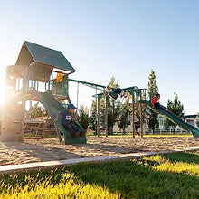 Lifetime Big Stuff Deluxe Swing Set Playset Earthtone