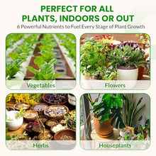 Humboldts Secret Starter Kit, Plant Fertilizer & Hydroponic Nutrients, XL