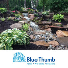 Blue Thumb Elite Cascade Falls Box, Large, 30"