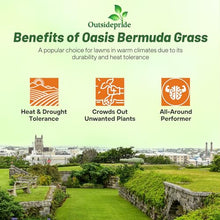 Outsidepride Oasis Bermuda Grass Seed - 50 lbs Warm Season, High Traffic, Heat Resistant, Drought-Tolerant, Low-Maintenance, Fast Growing Turf Grass for Lawn, Ideal for Sunny Areas, Thick Coverage