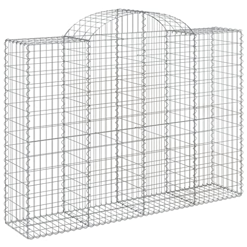 Arched Gabion Baskets 2 pcs 78.7"x19.7"x55.1"/63" Galvanized Iron White Black