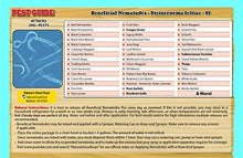 Beneficial Nematodes Steinernema feltiae SF - Biological Fungas Gnat Control (500 Million)