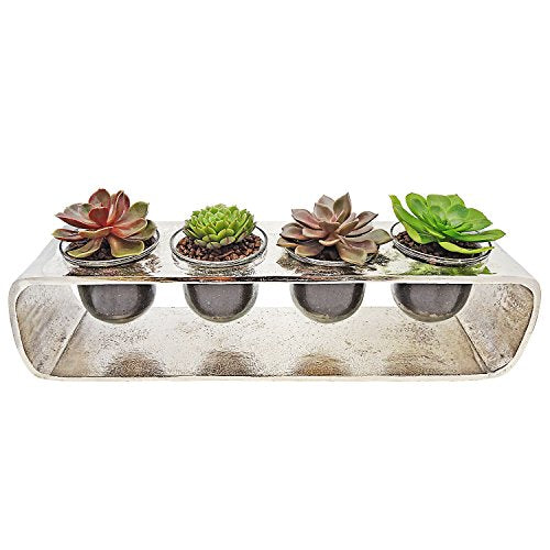 Luludi Living Art Succulent Silver 4 Cup